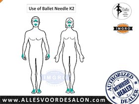 Ballet naalden RVS K6