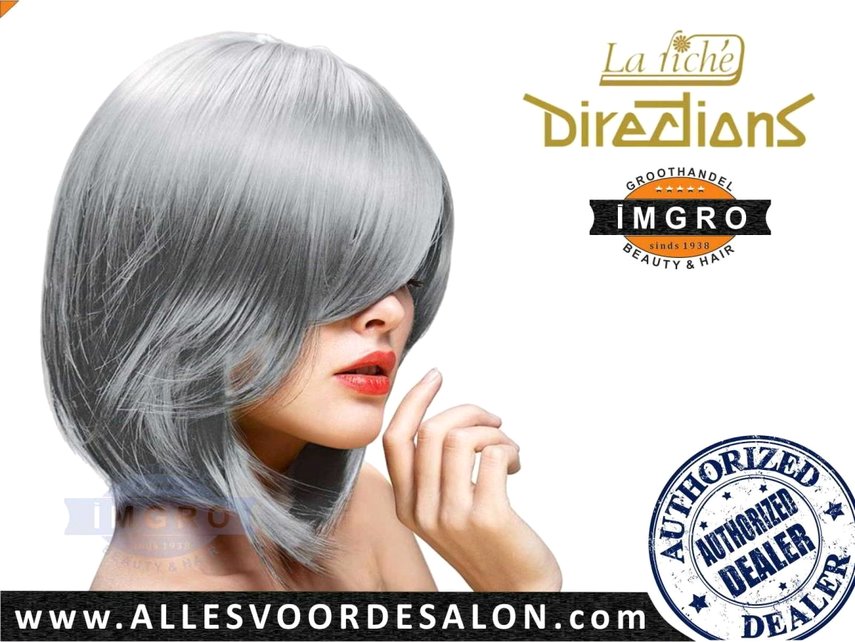 Verpletteren Geneigd zijn huiselijk Directions Silver - Haarverf - IMGRO Beauty